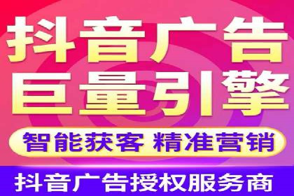 竞价广告端口开户的典型案例剖析